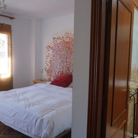 Casa Colores Tenerife Guesthouse Канделарія Екстер'єр фото
