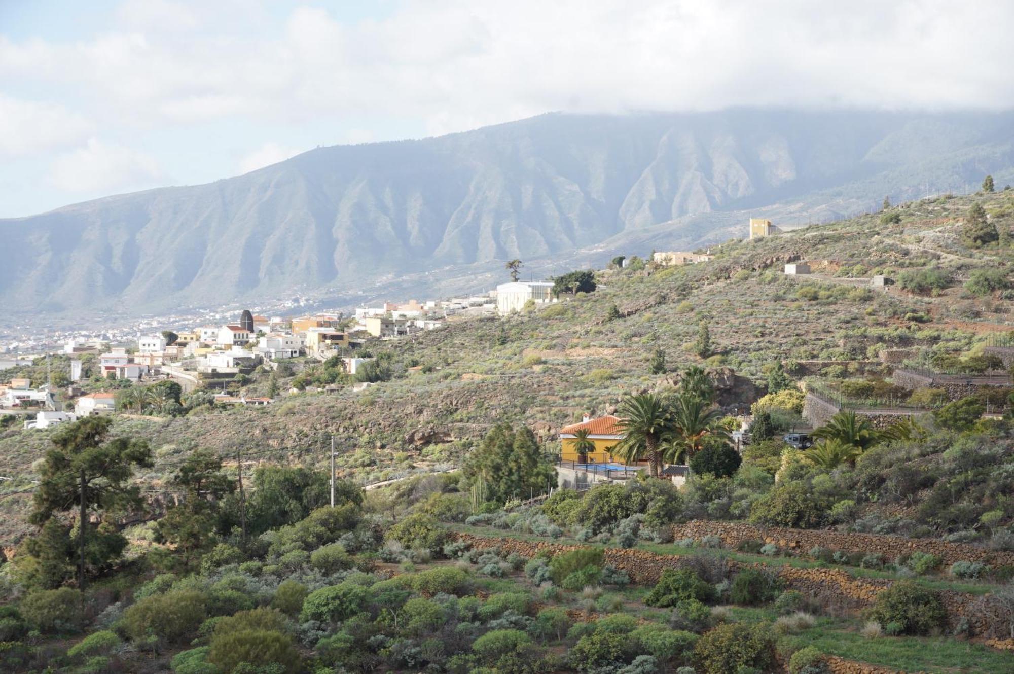 Casa Colores Tenerife Guesthouse Канделарія Екстер'єр фото